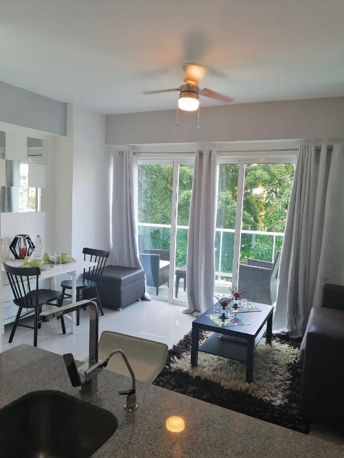 Armonia 408 Apartment In Gazcue 聖多明哥 外观 照片