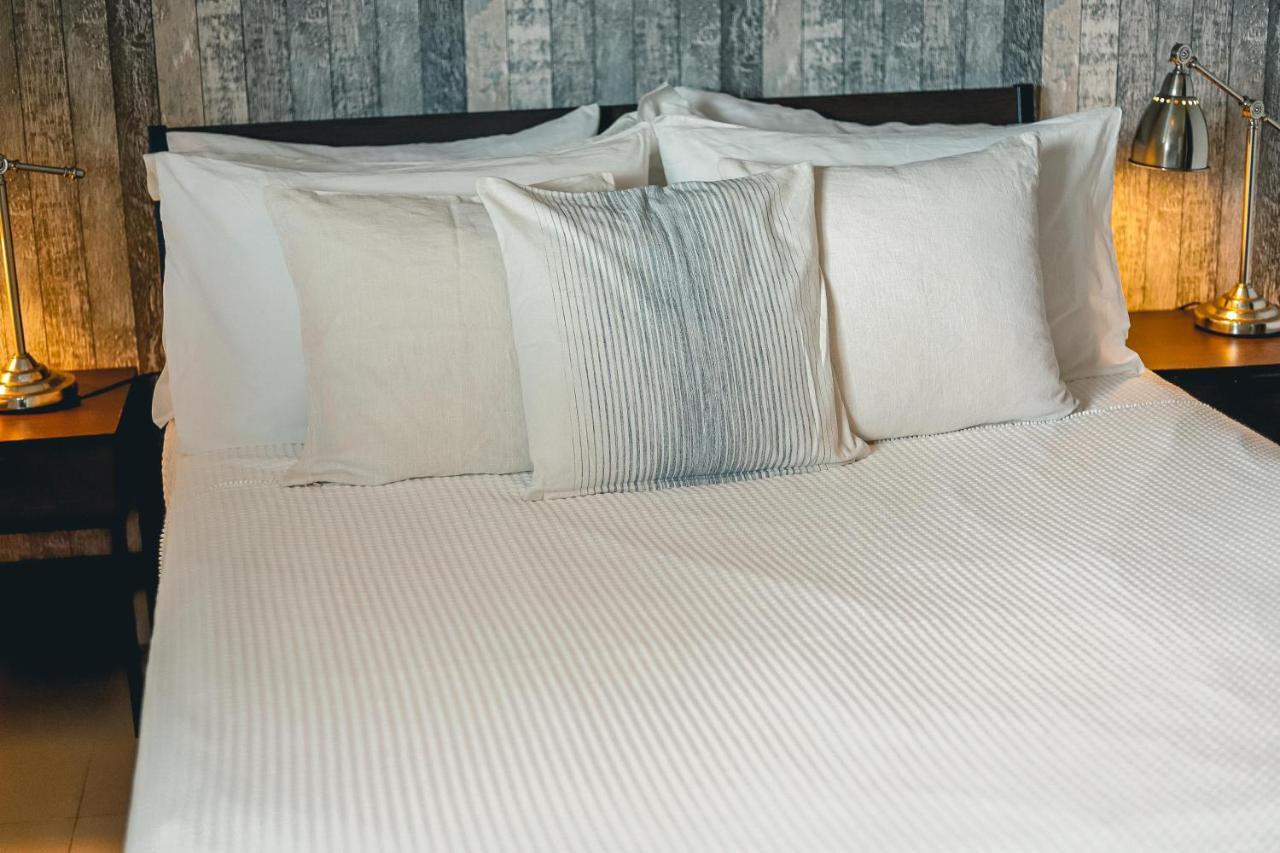 Armonia 408 Apartment In Gazcue 聖多明哥 外观 照片